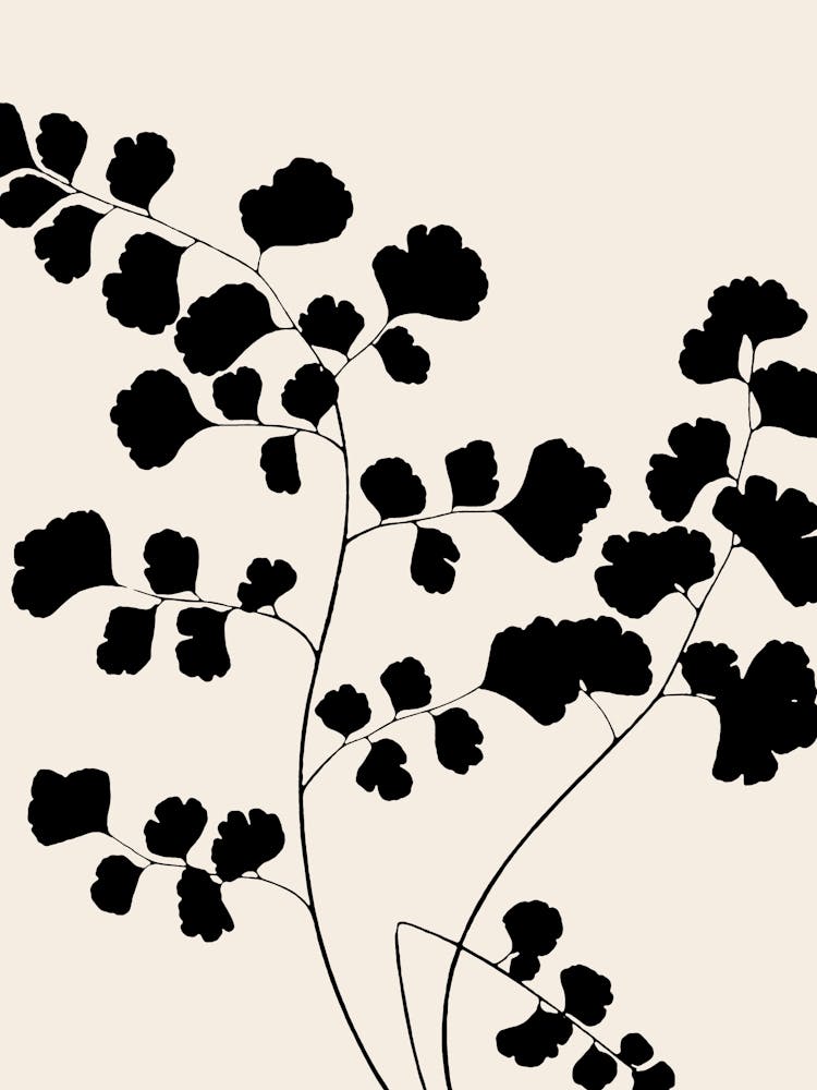 Fern Leaves in Black, Farmhouse Botanical