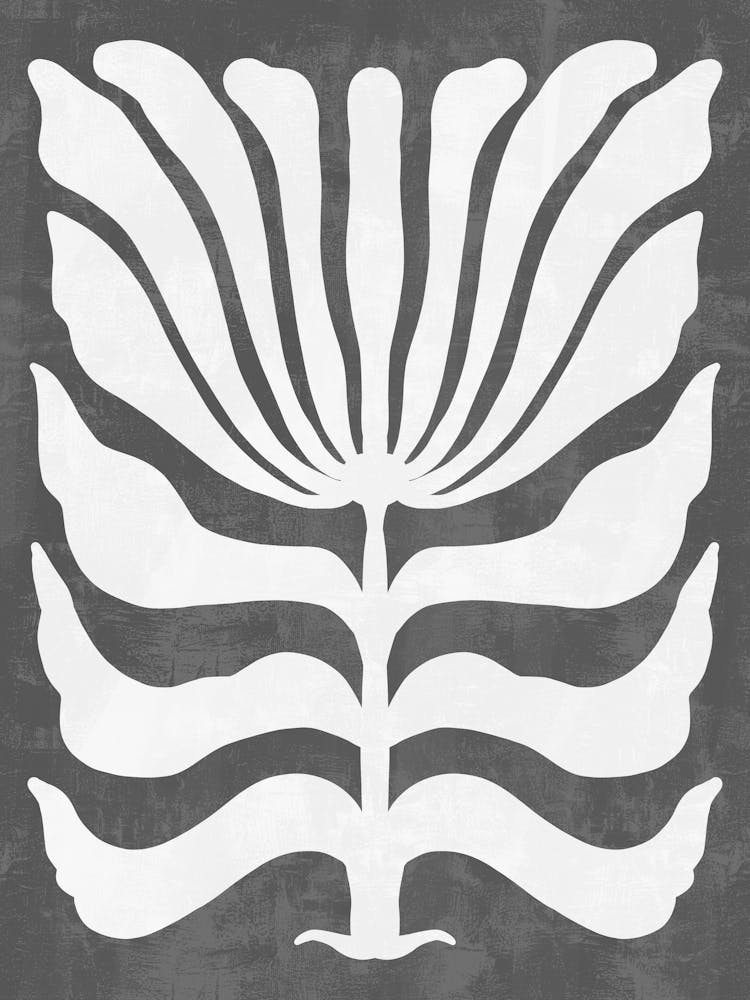 Lily Of The Valley 5