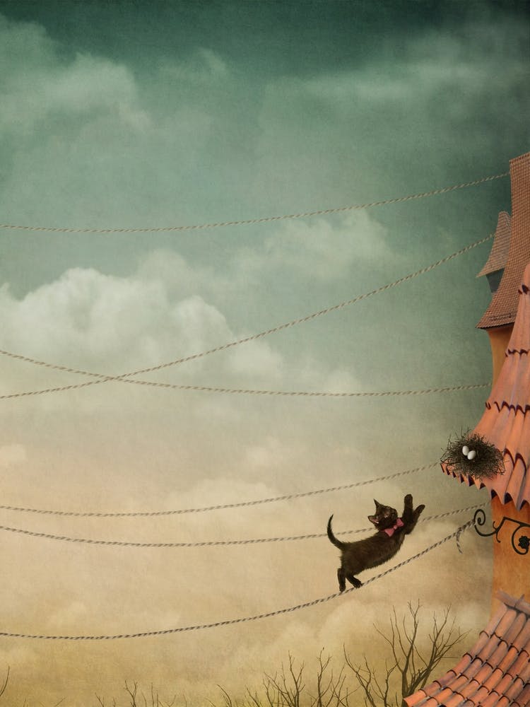 Cat On Wires