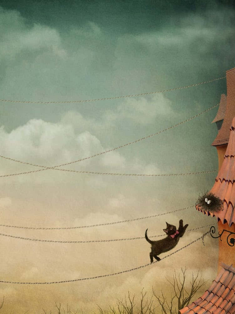Cat On Wires