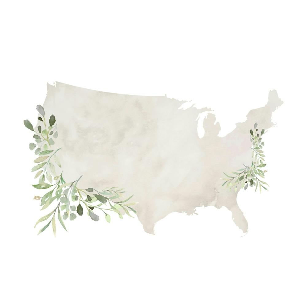 Watercolor Leaves United States Of America