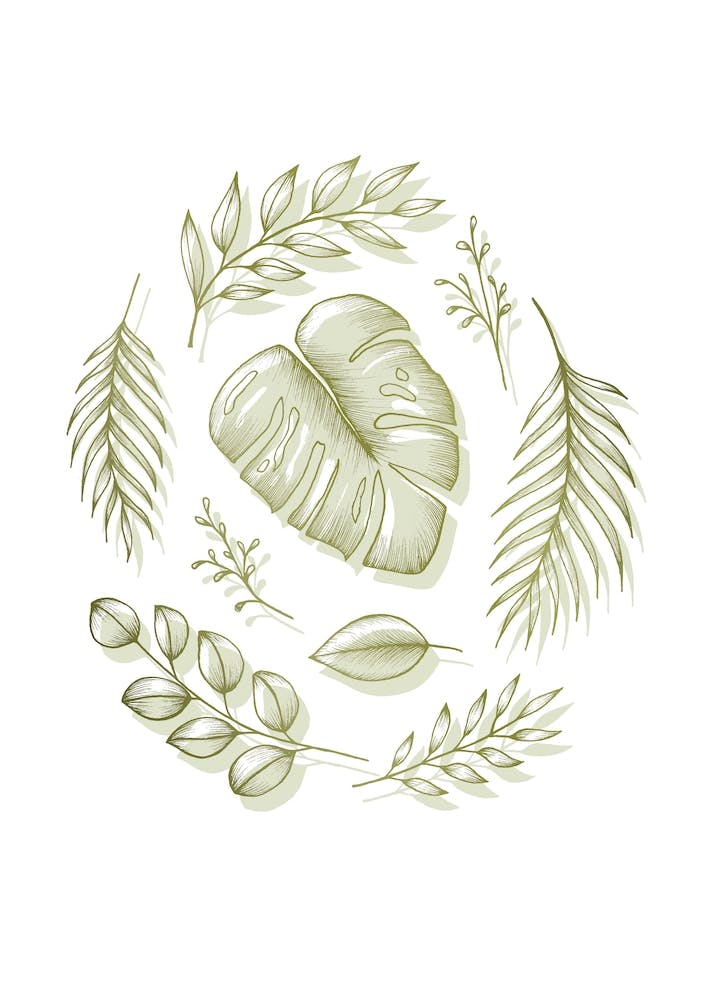 Boho Botanicals