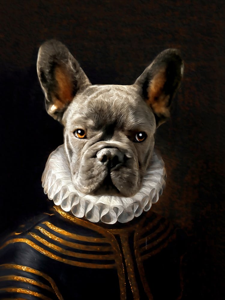 Mr Maximilian The Bulldog Pet Portraits