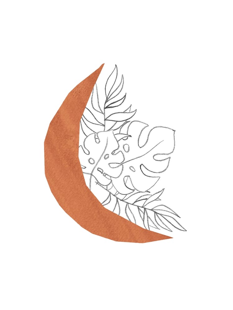Moon And Leaves