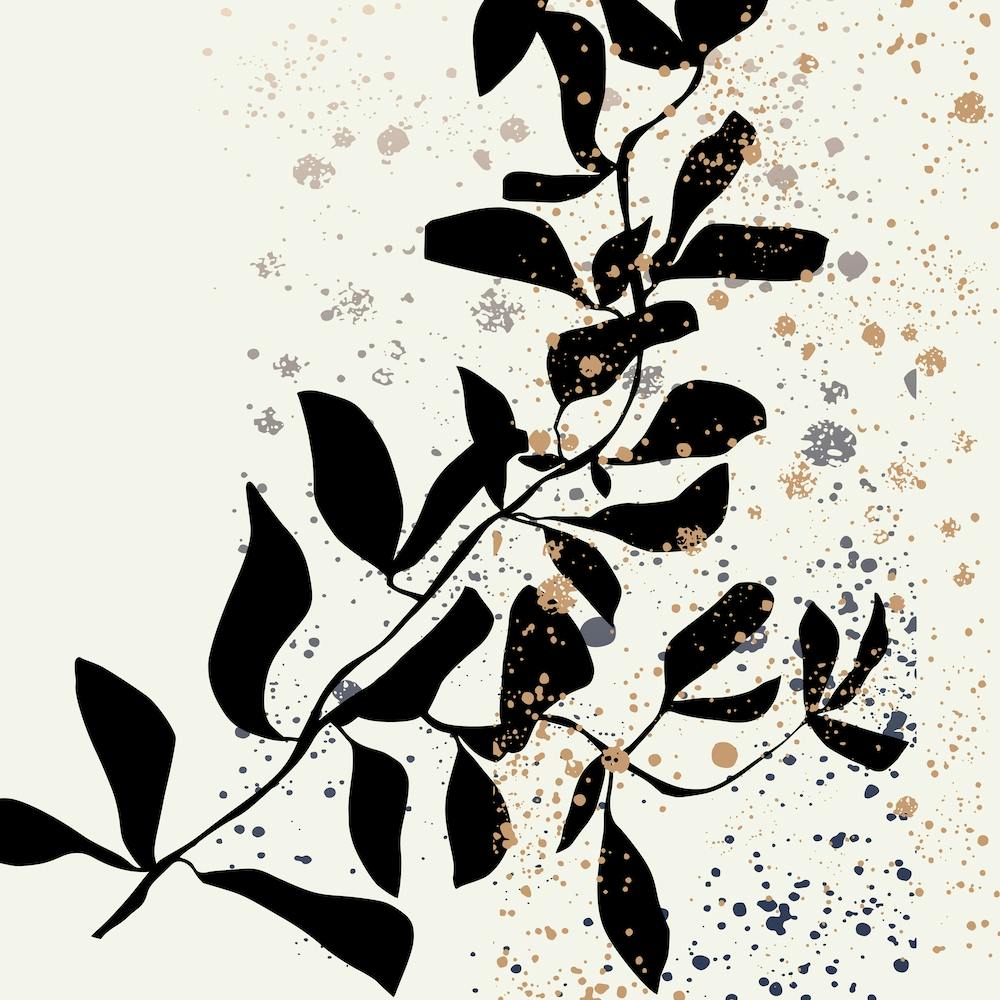 Climbing Branch Black White 1200 Square
