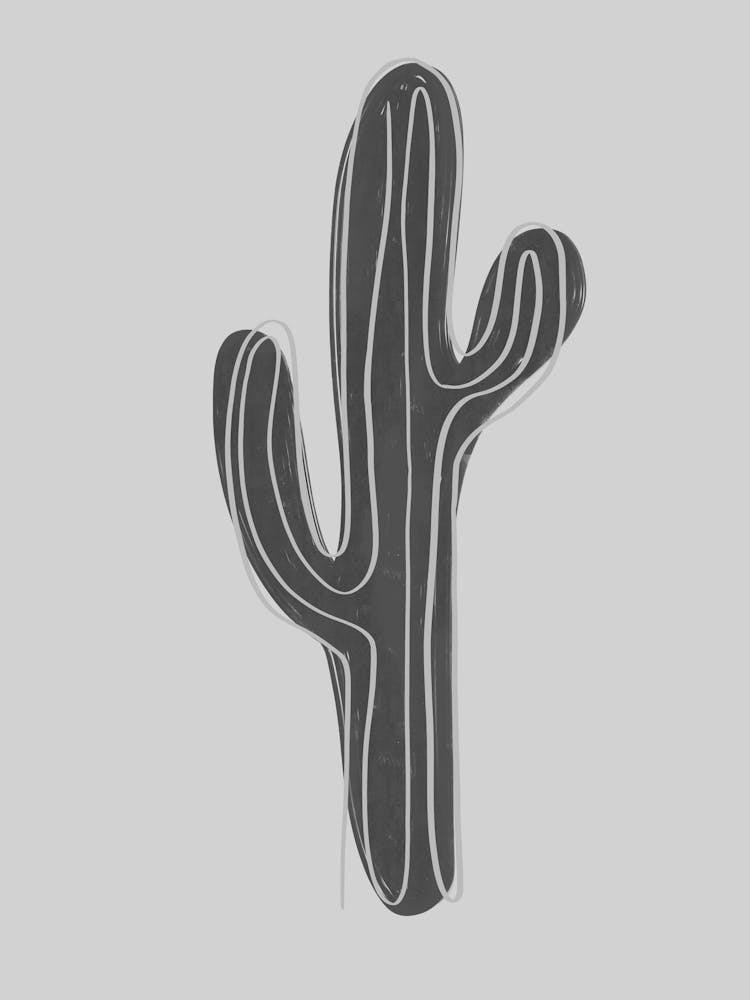 Cactus 2