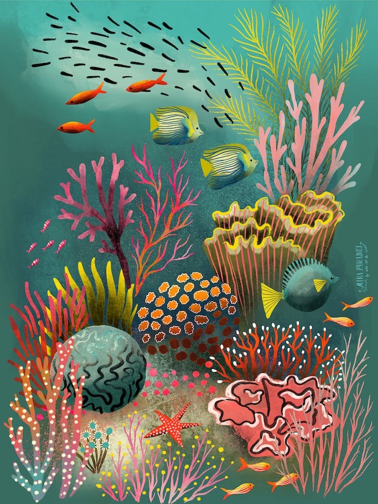 Coral Reef Sea Life Anemones