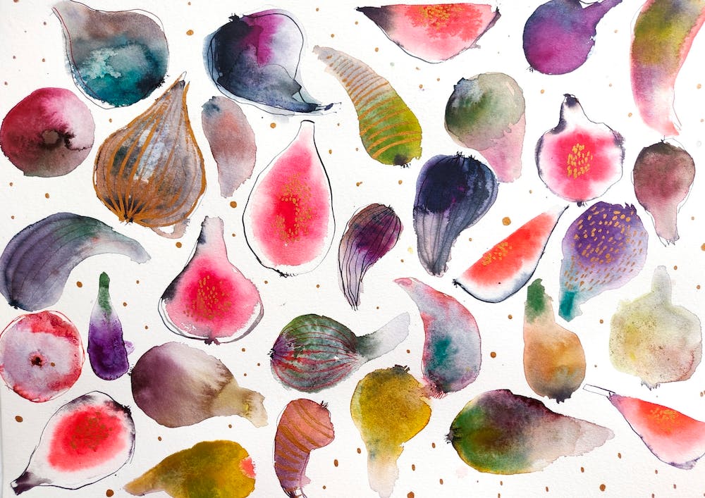 Colorful Figs Watercolor