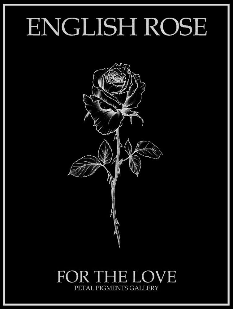 English Rose Black And White Line Drawing 15 Poster Inverted