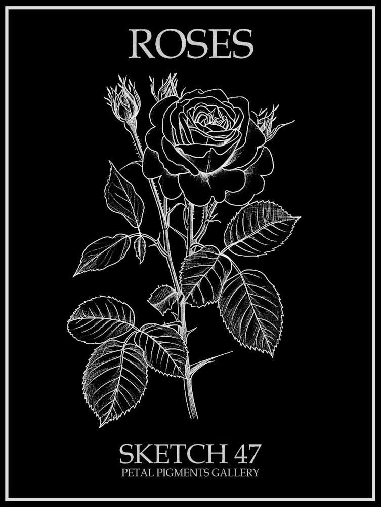 Roses Sketch 47 Poster Inverted