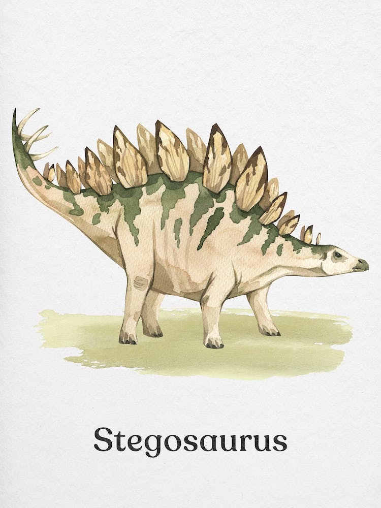 Stegosaurus