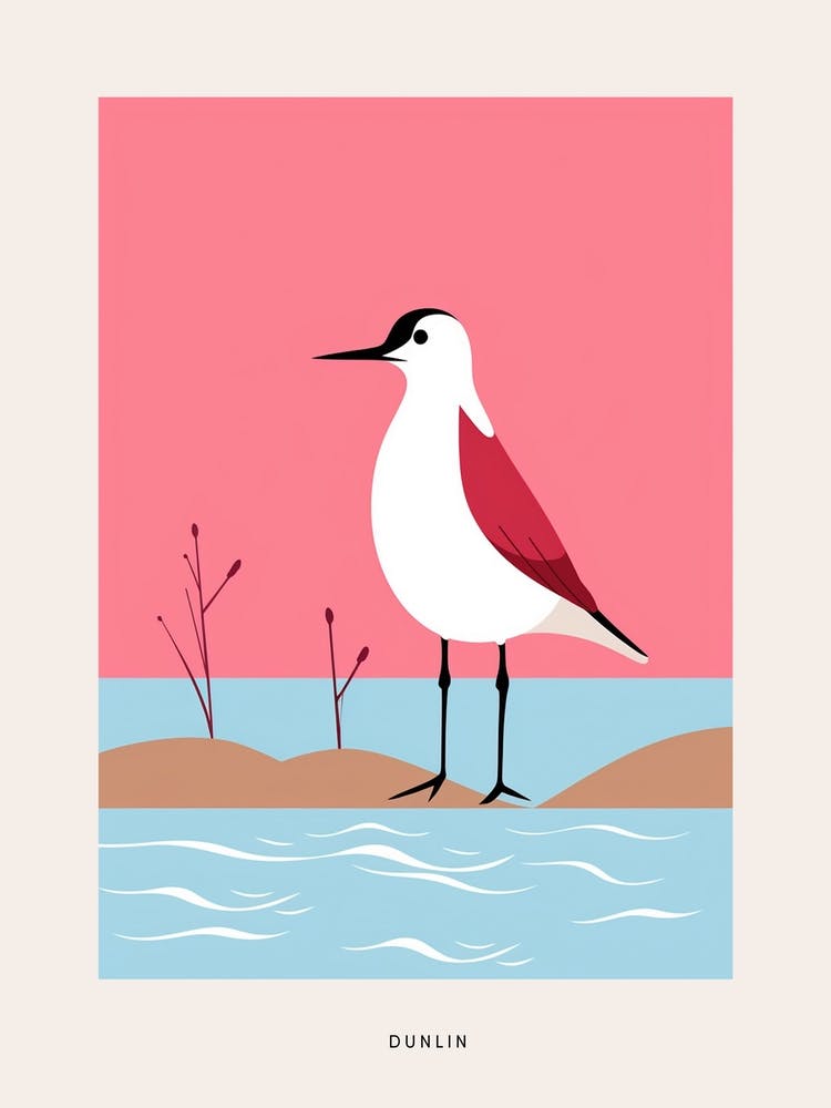Minimalist Dunlin 2 Bird Poster