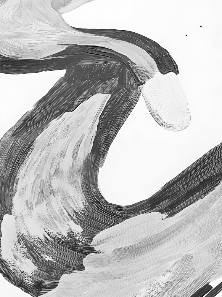 Black and White Swan