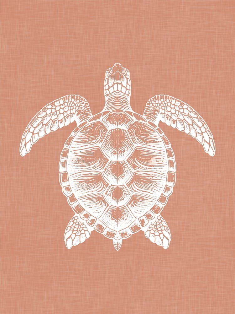 Vintage Sea Turtle Silhouette On Terracotta Linen Texture