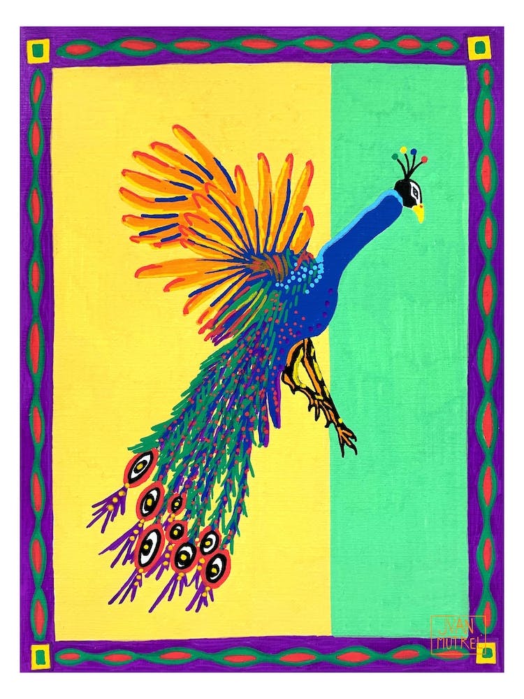 Peacock