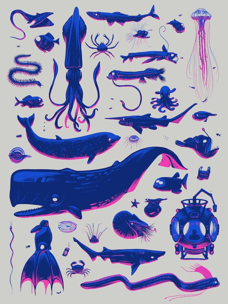Creatures Of The Deep