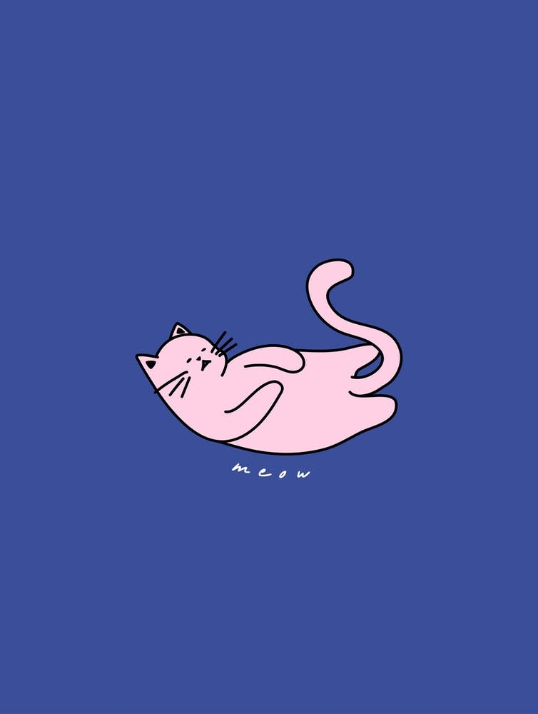 Blau-pinke Miau-Katze