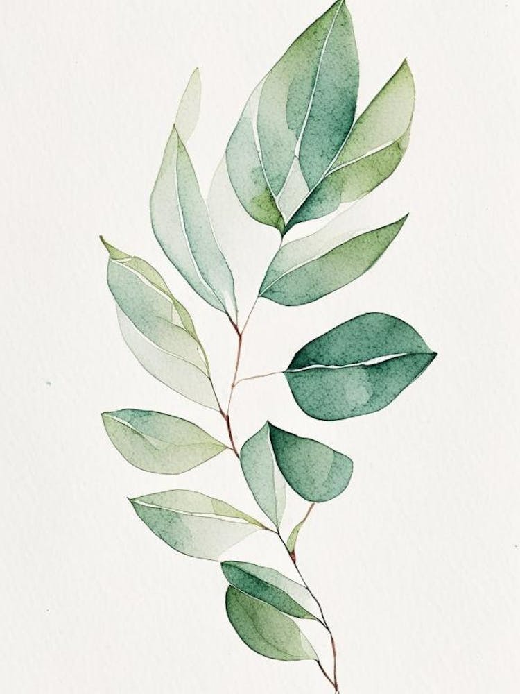 Myrtle Leaf Minimalist Watercolour