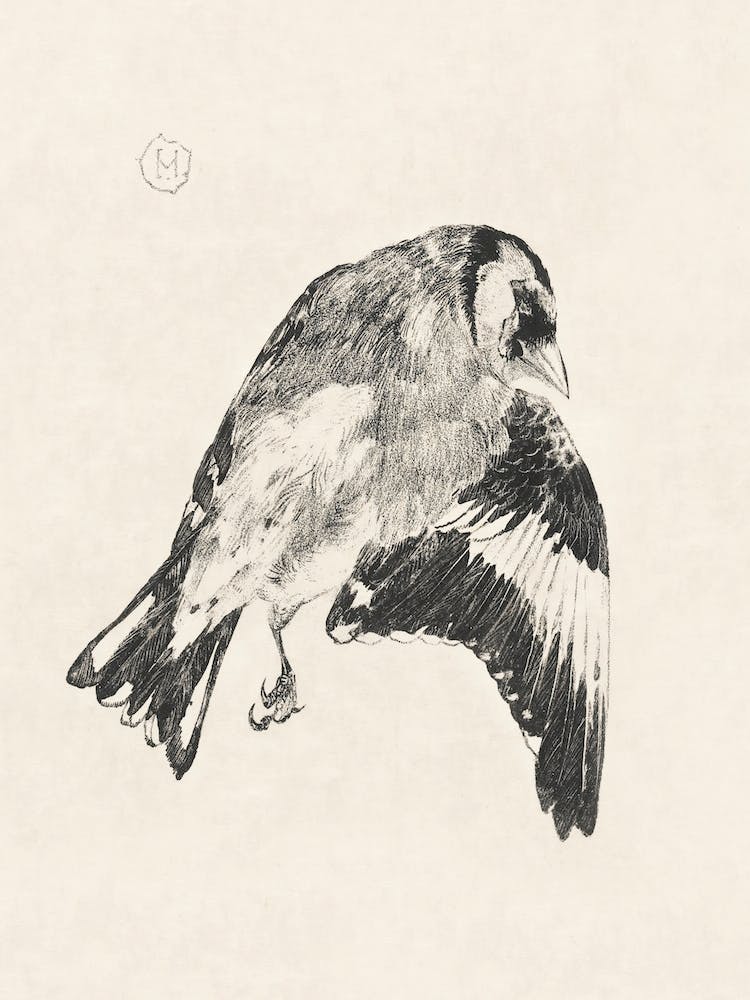 Death Putter (1878–1917), Theo Van Hoytema