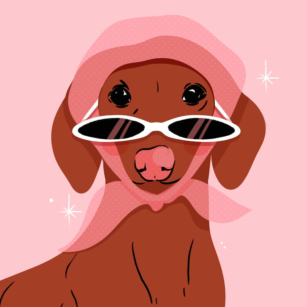 Dachshund | Fashion Dog 1