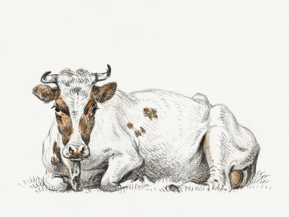 Lying Cow 3, Jean Bernard
