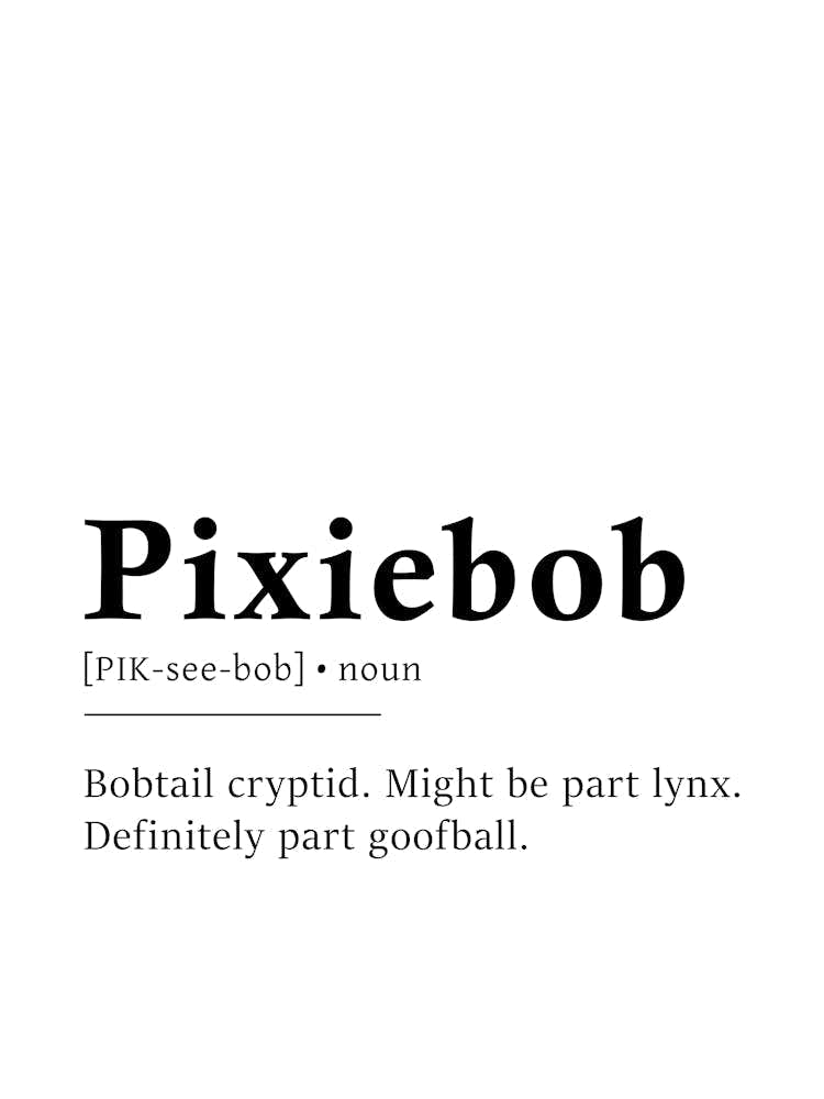 Pixiebob Definition Poster - Dictionary