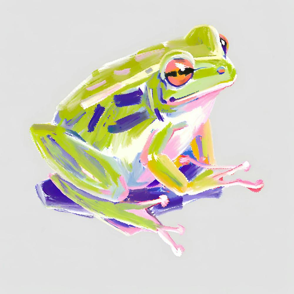 Grenouille Arboricole Verte 02