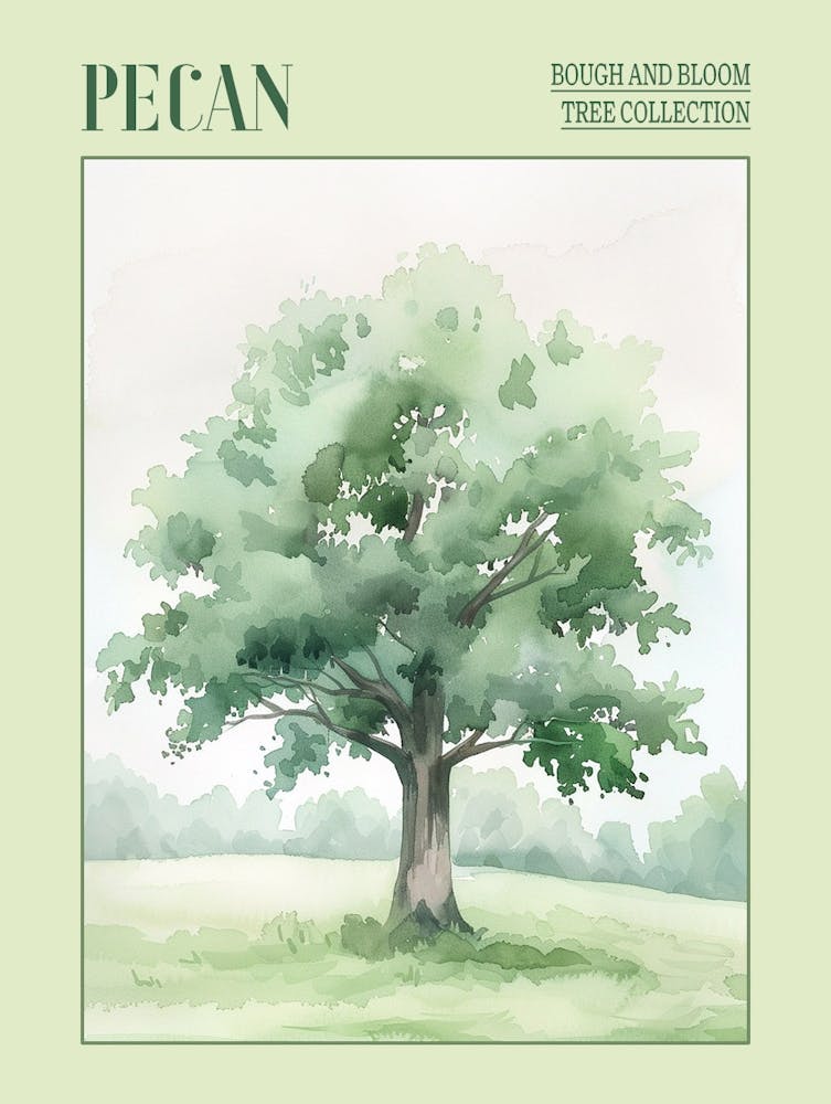 Pecan Tree Atmospheric Watercolour Painting 3 Poster