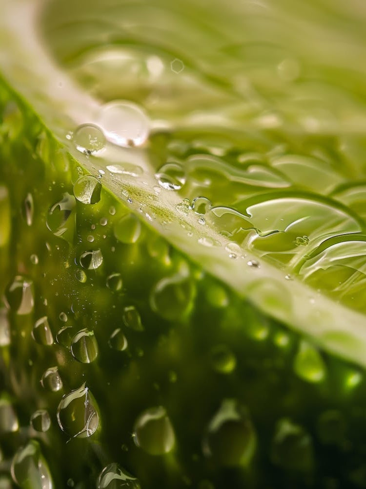Water Droplets On Lime 5