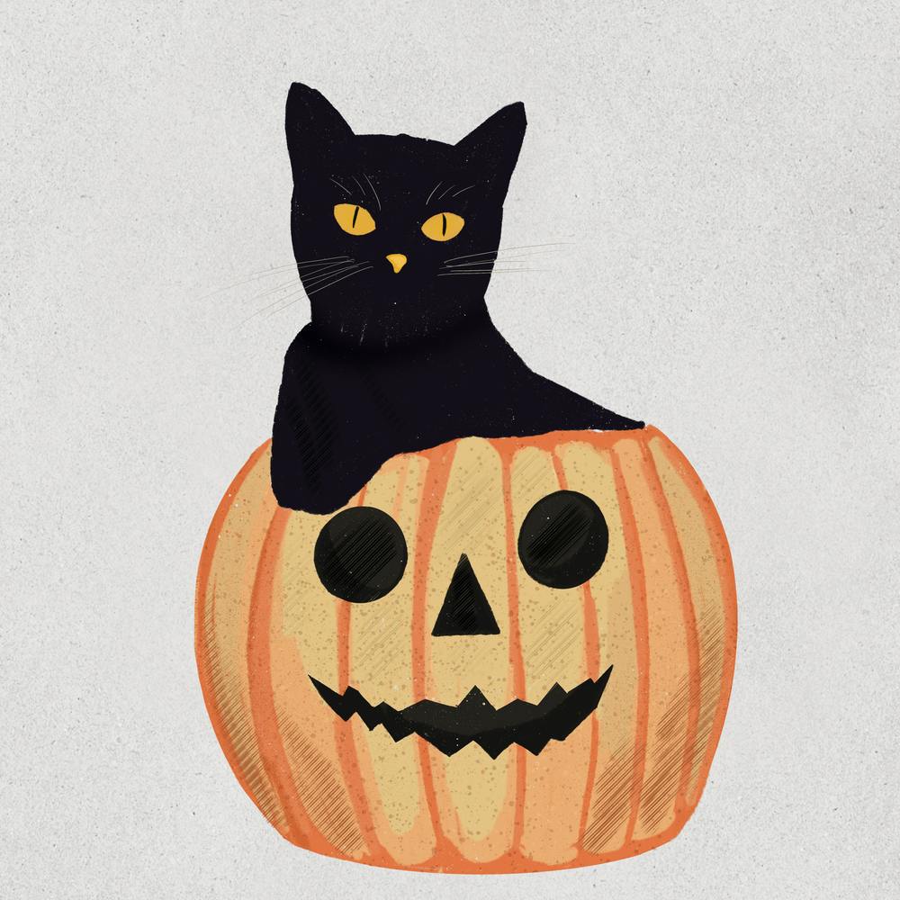 Black Cat In Pumpkin