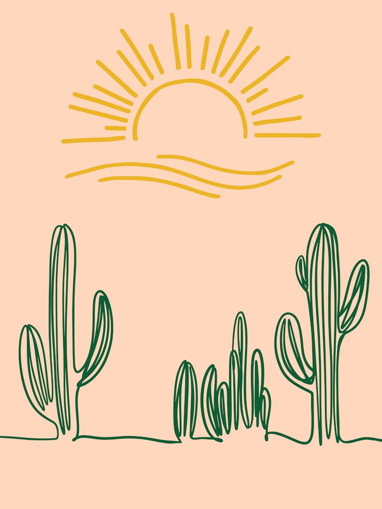 Cactus 4