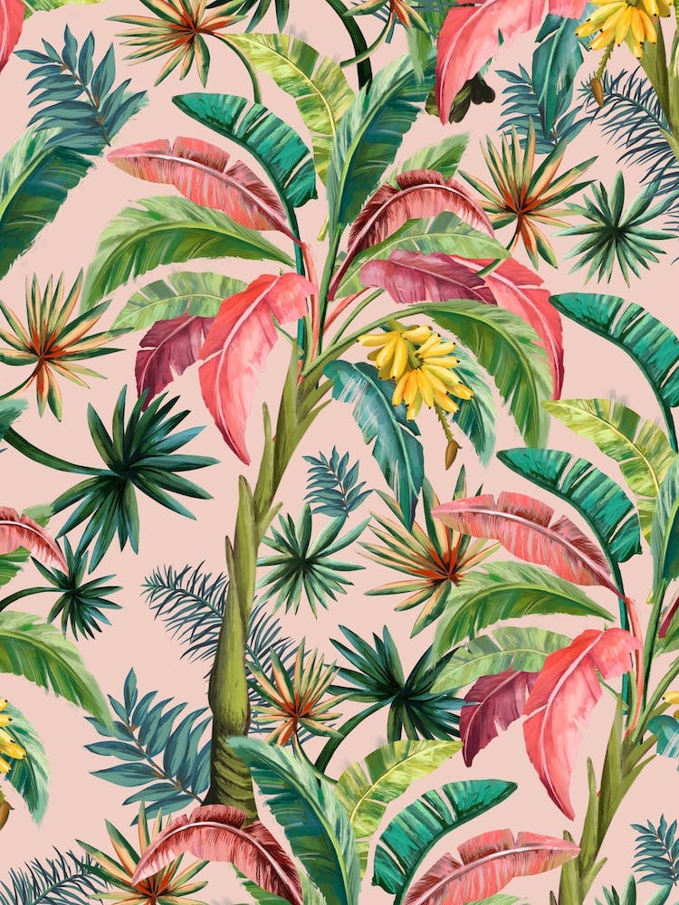 Palm Tree Hollywood Regent