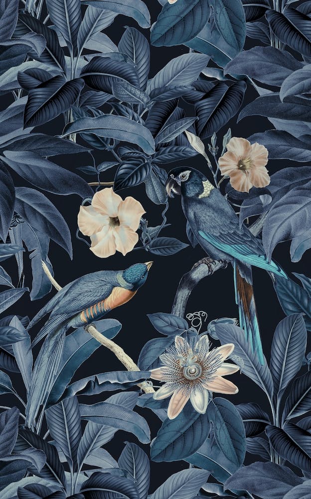 Junglebirds At Night