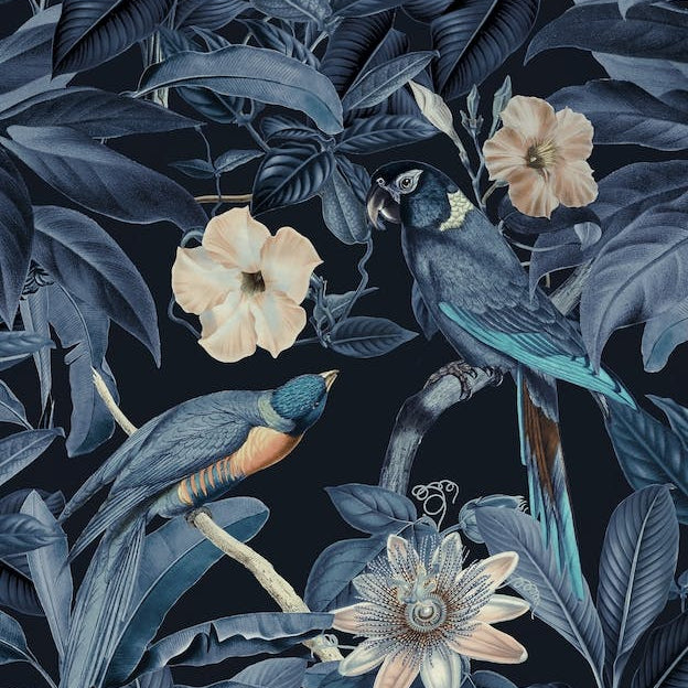 Junglebirds At Night