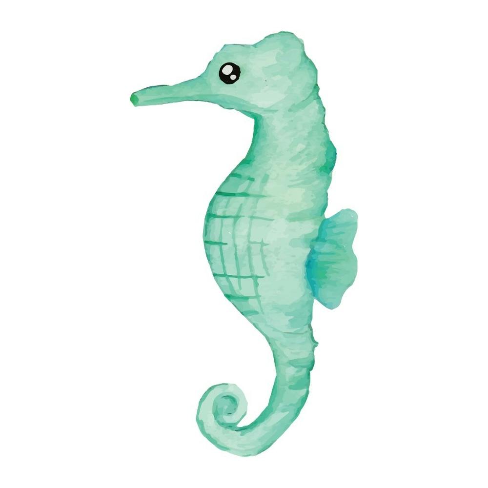 Seahorse