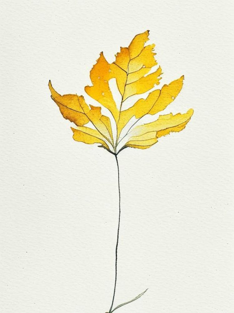 Marigold Leaf Minimalist Watercolour 2