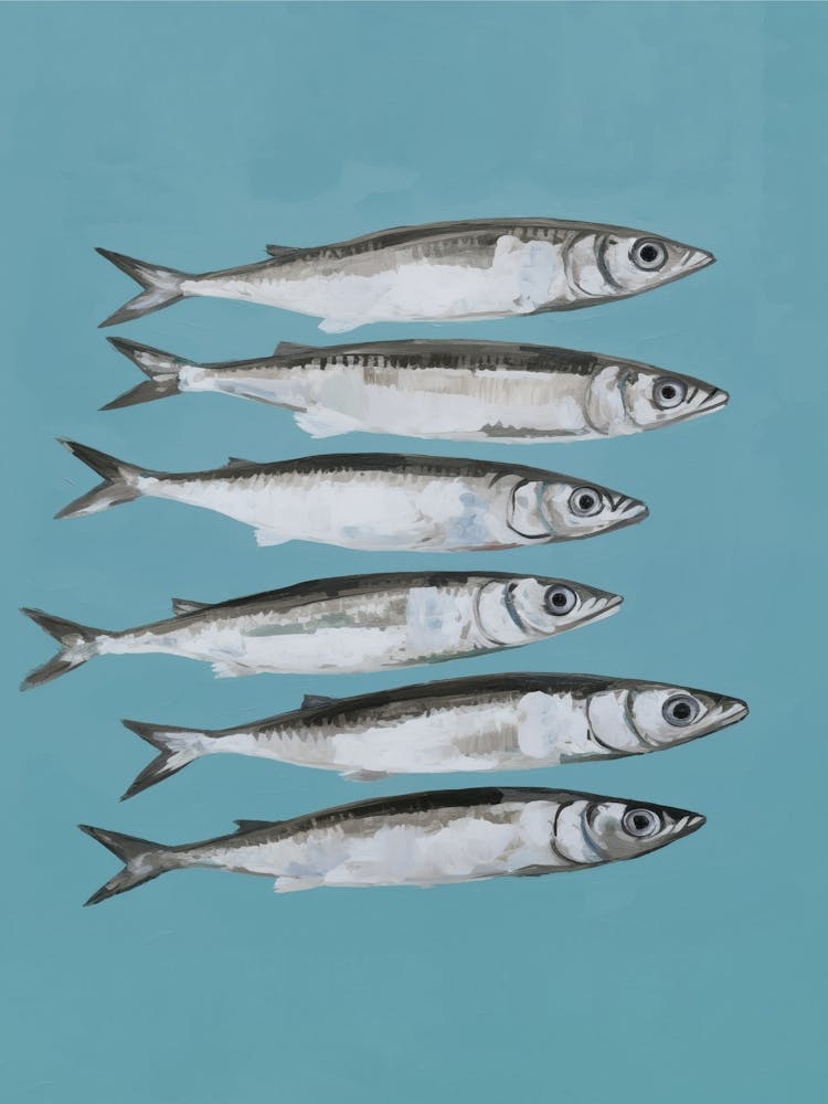 Boho Bella Vita 6 Fish 3