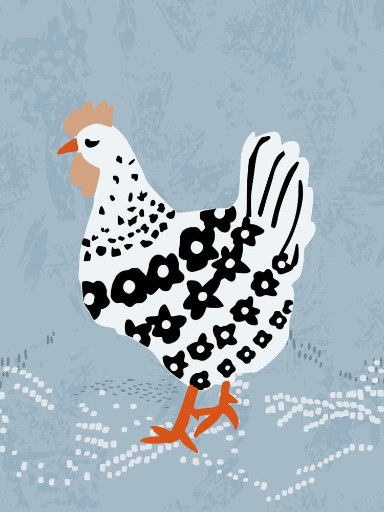 Chicken on blue soil