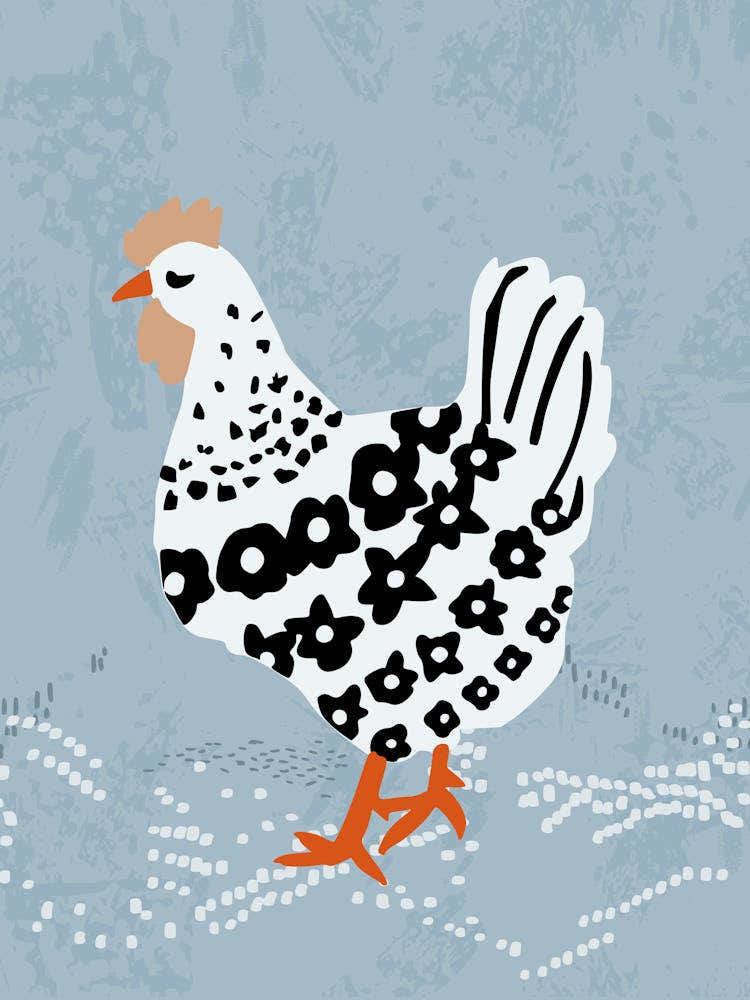 Chicken on blue soil