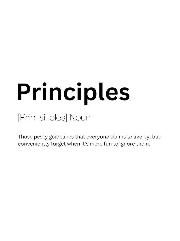 Principles Definition Meaning 1