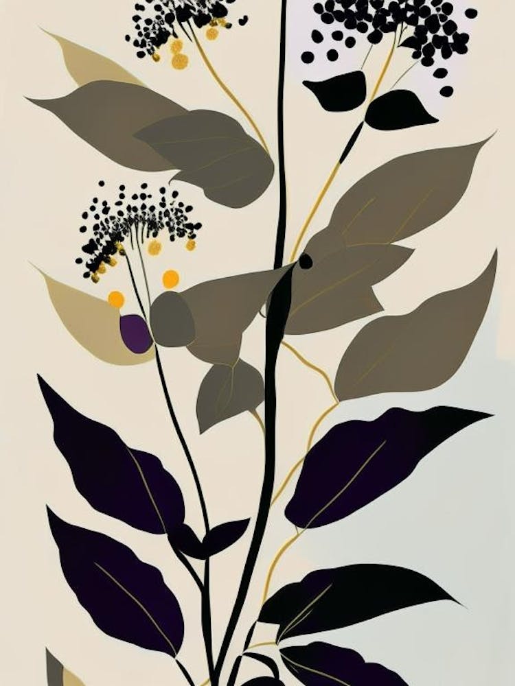 Black Snakeroot Wildflower Modern Muted Colours 1