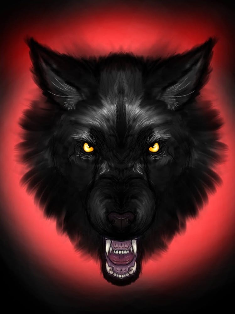 Wolf Head