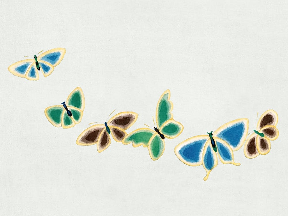 Vintage Butterfly, Cho Senshu (2) 1