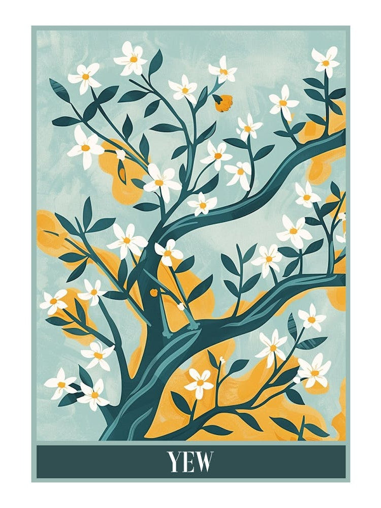 Yew Tree Flat Illustration 2 Poster