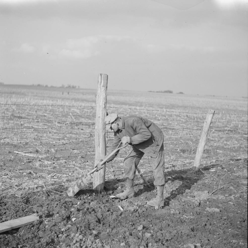 Tip Estes, Hired Man, Repairing A Fence, Near Fowler,Indiana By Russell Lee