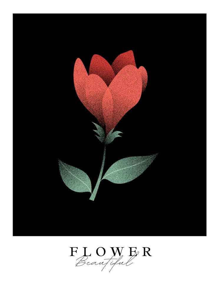 Flower Beautiful
