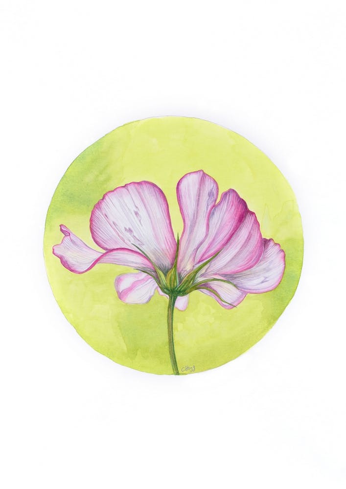 Circular Cosmos