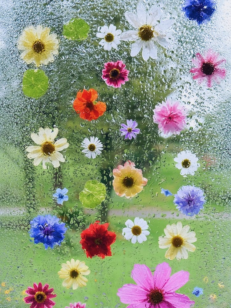 Flowers On A Rainy Day
