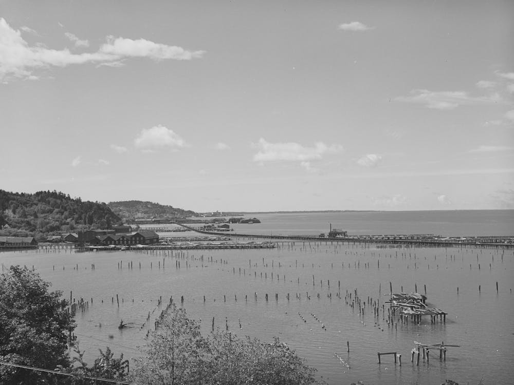 Waterfront, Astoria, Oregon By Russell Lee