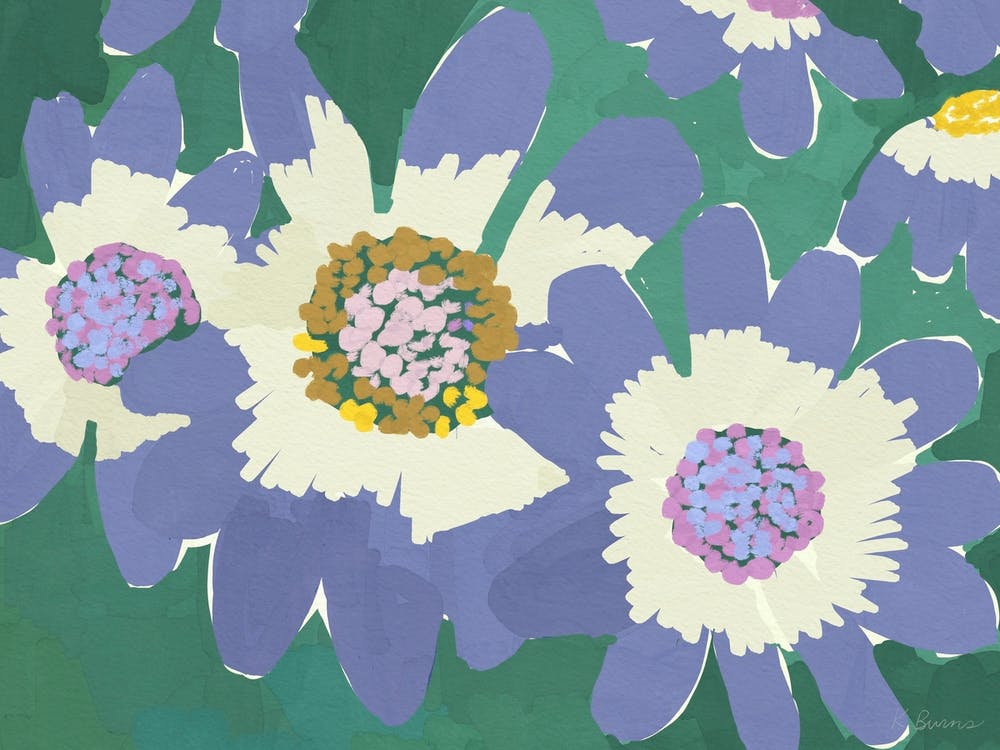 Purple Flowers